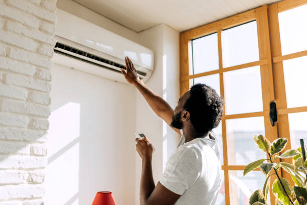 Best HVAC Tune-Up Services  in Roodhouse, IL